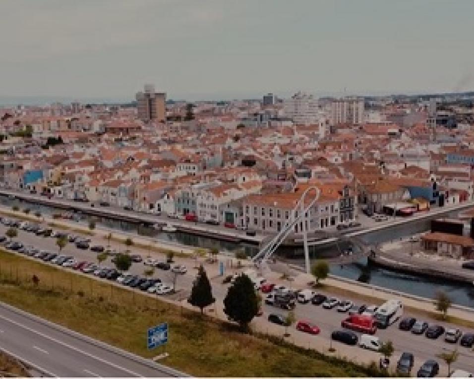 Aveiro: Pequenos contributos são de capital importância na ação climática - Ribau Esteves.