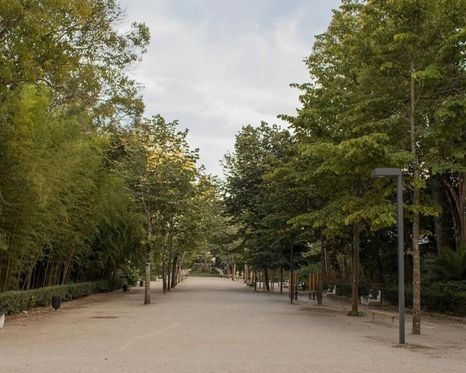 Aveiro: Parque da cidade recebe corta mato escolar.