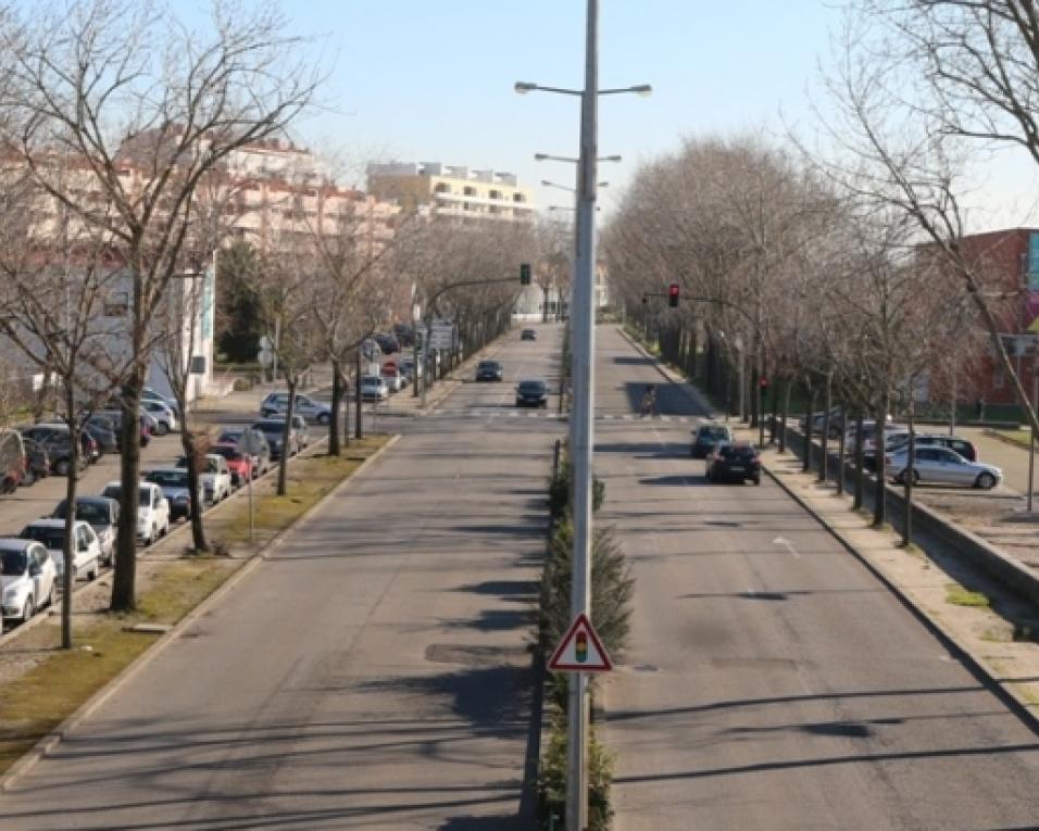 Aveiro: Autarquia adjudica rotunda que abre novo acesso à universidade.