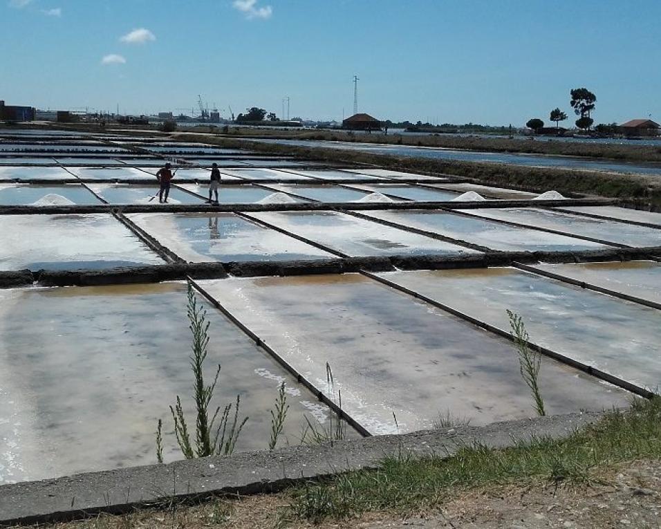 Aveiro: Executivo vota projeto de reabilitação de estrada dique junto à Marinha da Troncalhada.