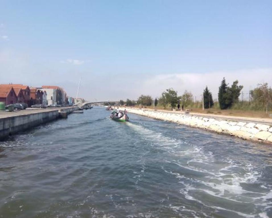 Câmara de Aveiro investe em iluminação pública no Canal de São Roque.