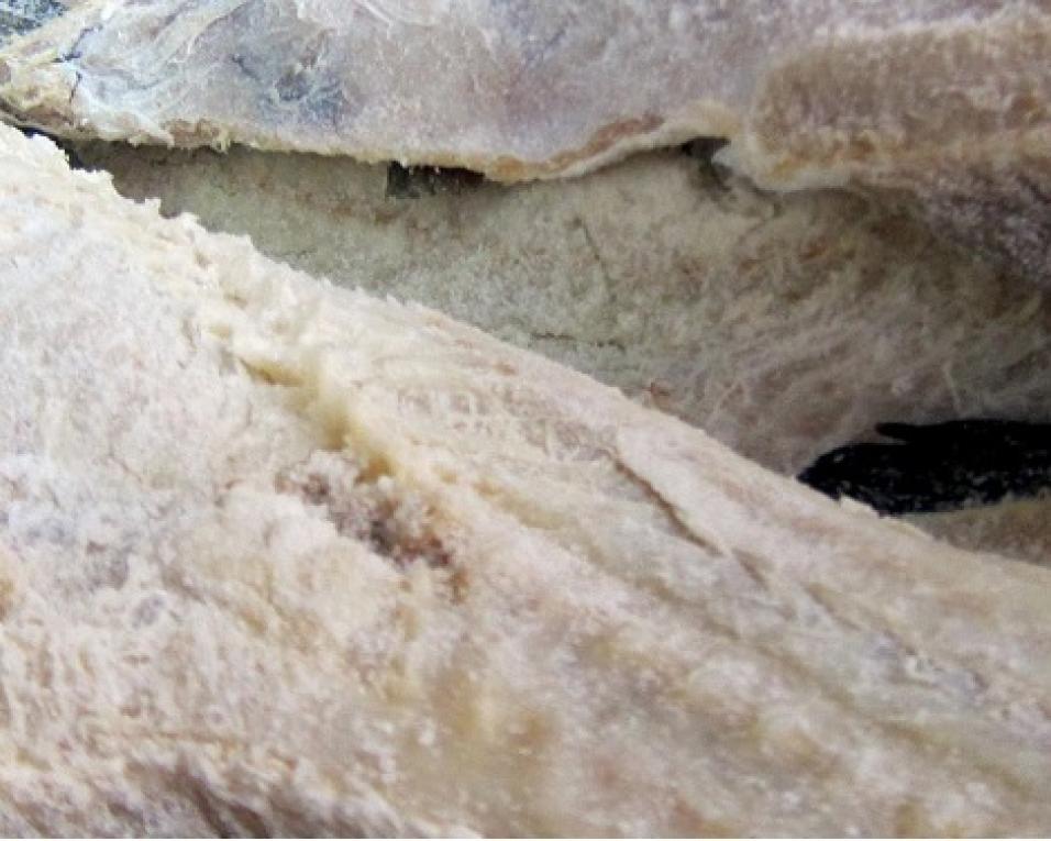 Governo assegura aumento da quota de bacalhau.