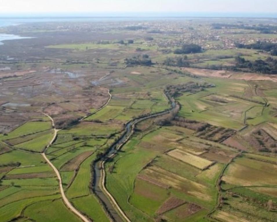 Exploração agrícola intensiva do Baixo Vouga é o principal risco do projeto de defesa primário. 