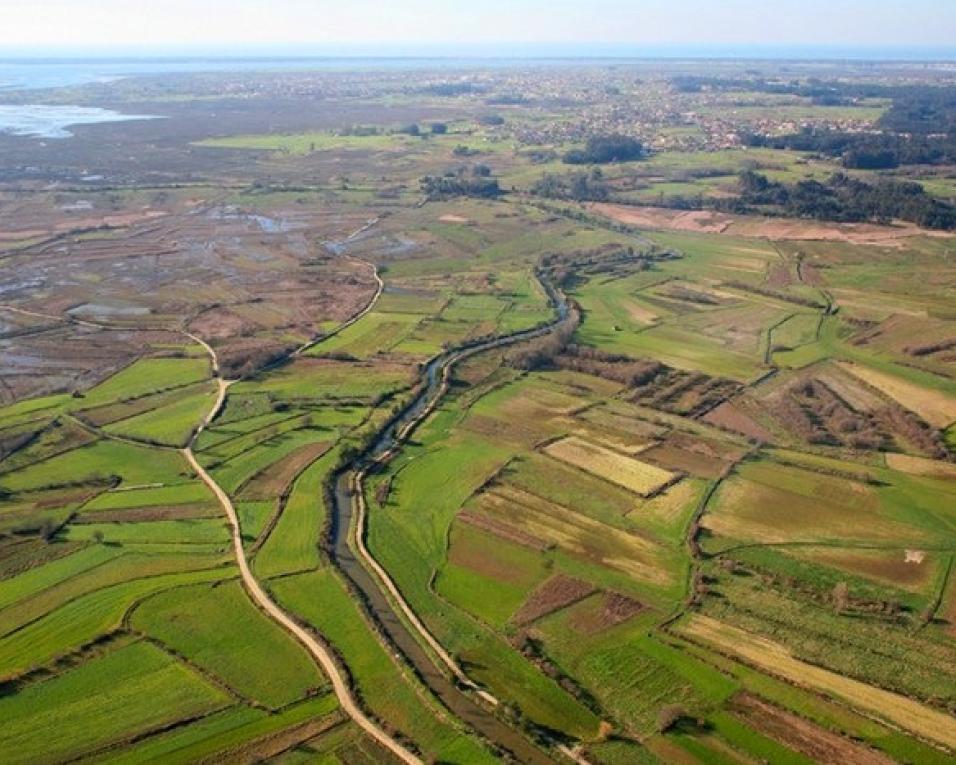 Criação de Parque Natural da região de Aveiro pode ajudar a resolver questões de governança - Nelson Peralta.