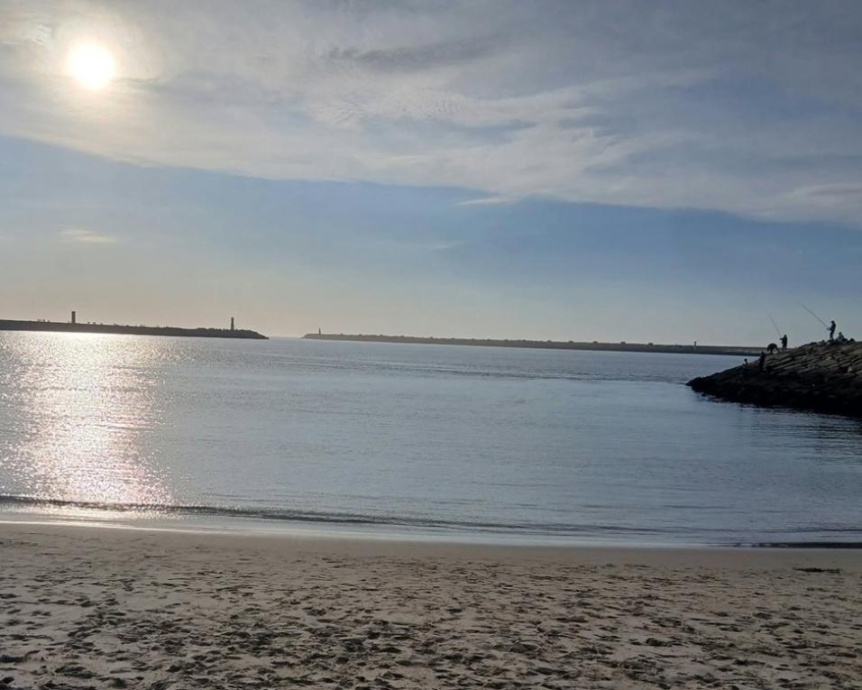 APA recebe projeto de melhorias de acessibilidades maritimas