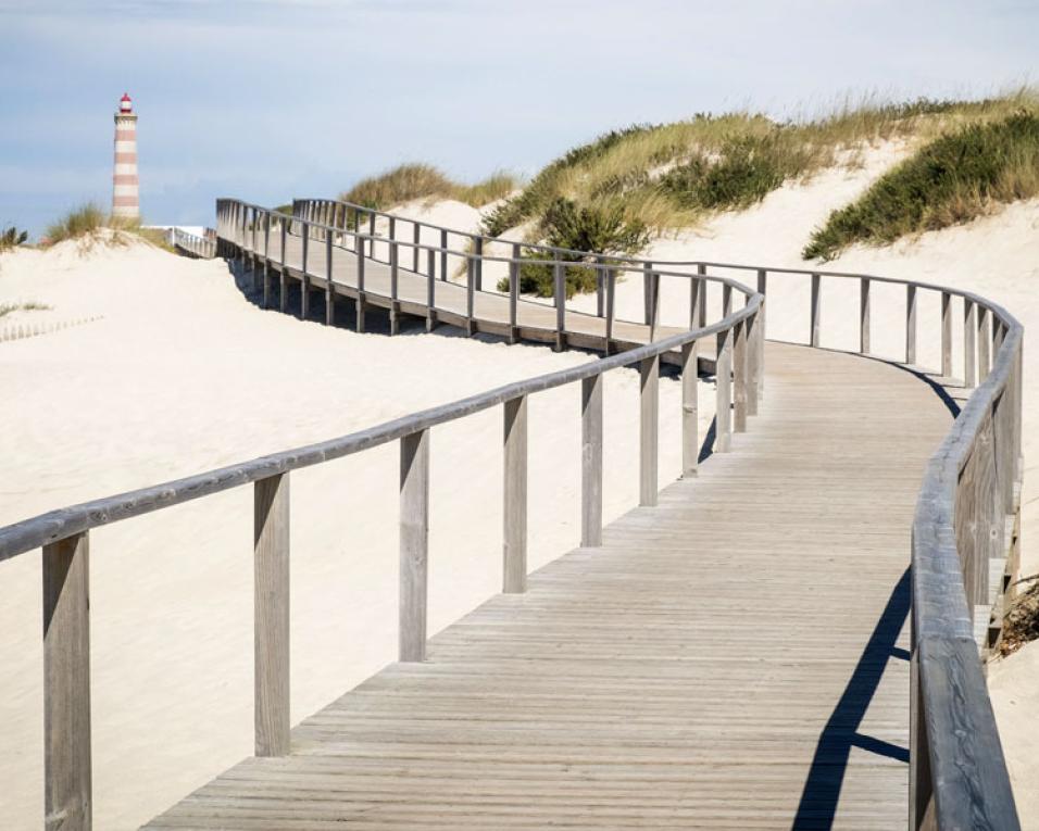 Praias da Barra e Costa Nova: Município de Ílhavo quer praias 'lixo zero'. 