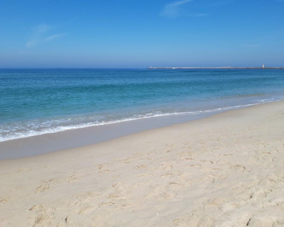 Estudo confirma recarga de areia como solução mais sustentável na defesa do litoral.