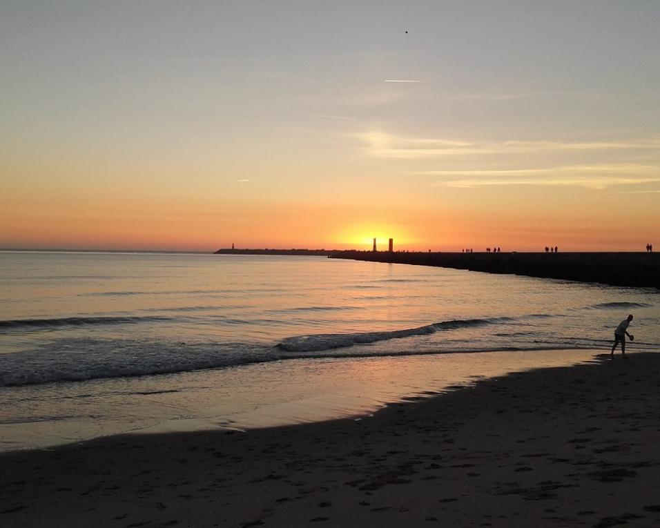 Ministro do Ambiente na Figueira na apresentação de dados de estudo sobre defesa do litoral aveirense.