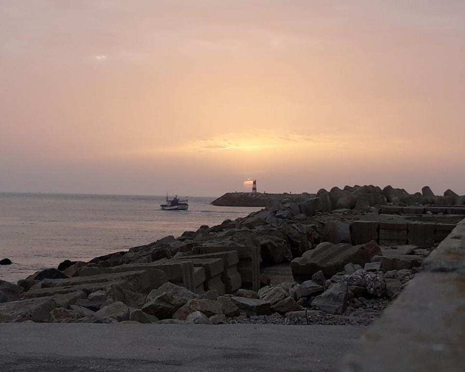 Cuidar dos oceanos nas mensagens do Dia Mundial da Terra.