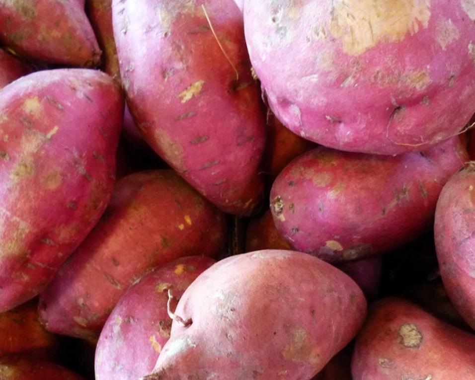 Vagos promove Feira da Batata Doce.