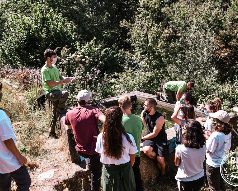 Estarreja acolhe campo internacional de voluntariado ambiental com orientação da BioLiving.