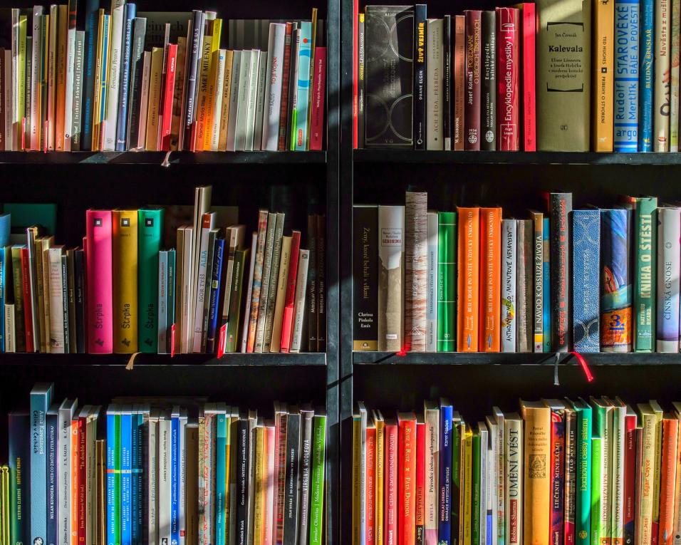 Câmara de Albergaria-a-Velha assinala hoje o Dia Internacional da Doação de Livros.