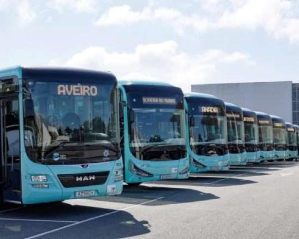 Clientes Busway pedem rigor nos horários dos autocarros.