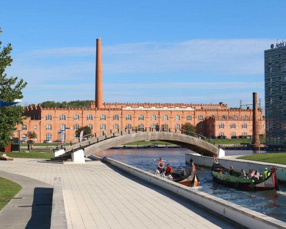 Política: Escolha do sucessor de Assunção Cristas será em Aveiro.