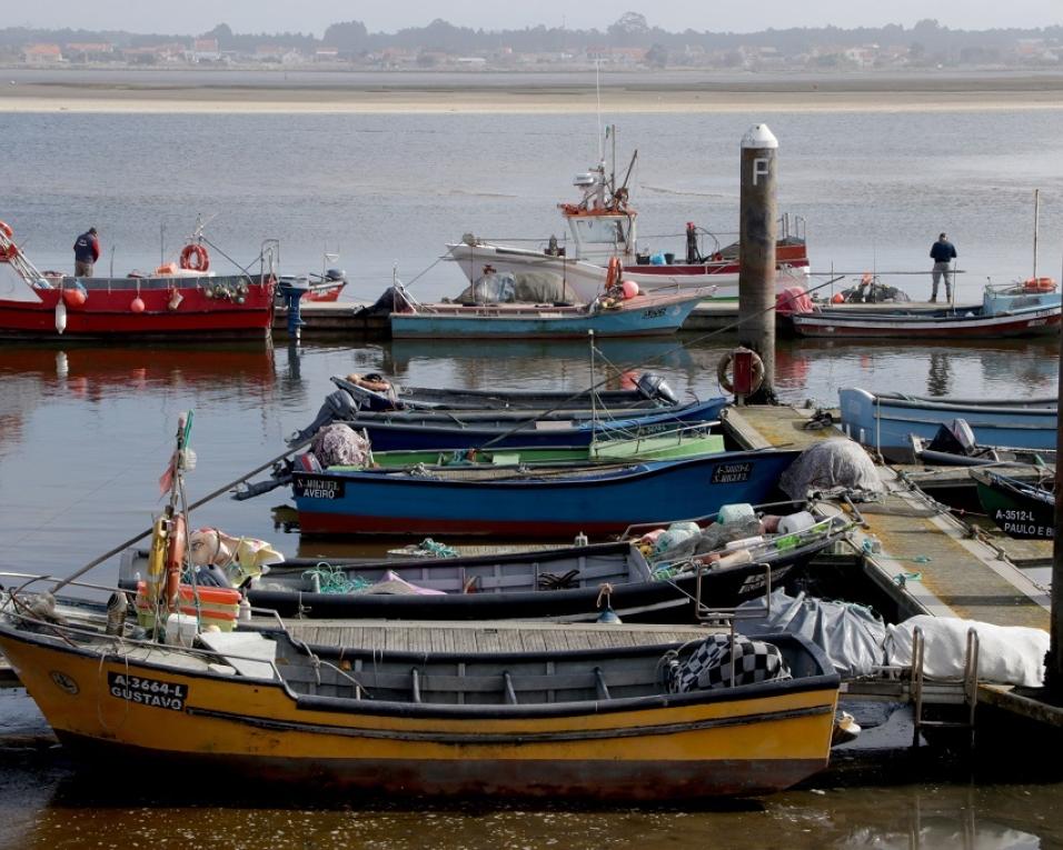 Ílhavo: Autarquia prepara projeto de dragagem do cais de pescadores da Costa Nova.