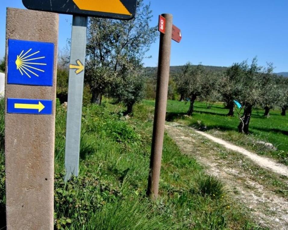 Águeda: Turismo apresenta processo de certificação de dois Caminhos Portugueses de Santiago.