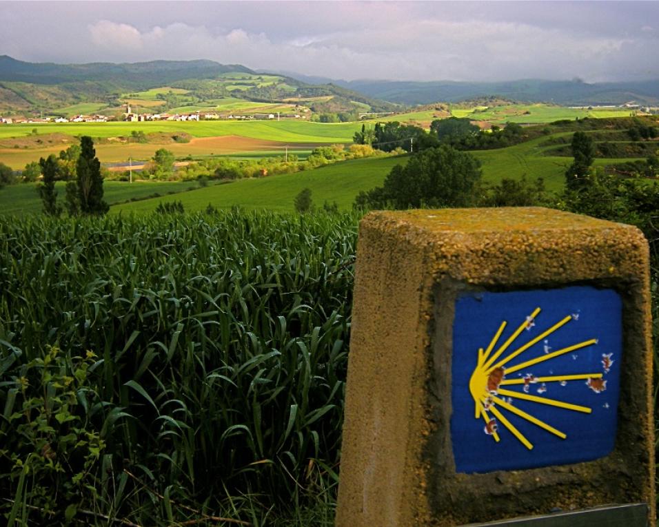 Albergaria-a-Velha integra comemorações europeias dos Dias do Caminho de Santiago.