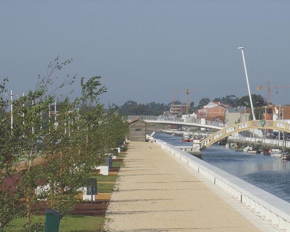 Aveiro: Segundo parque canino nasce no canal de São Roque.