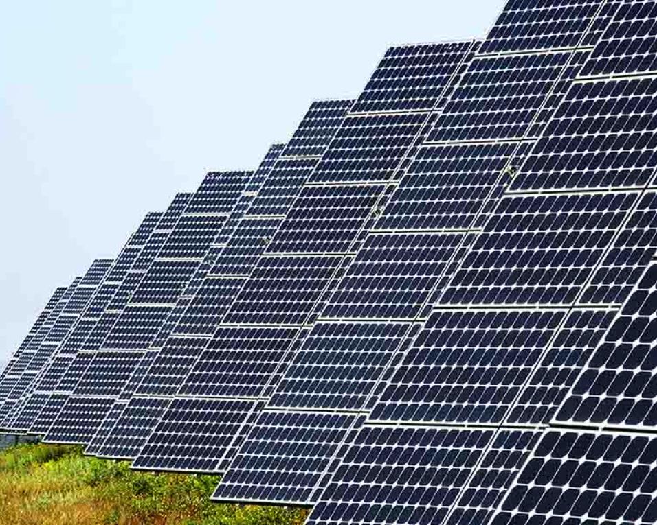 Governo viabiliza construção de central fotovoltaica em áreas ardidas em Ovar.