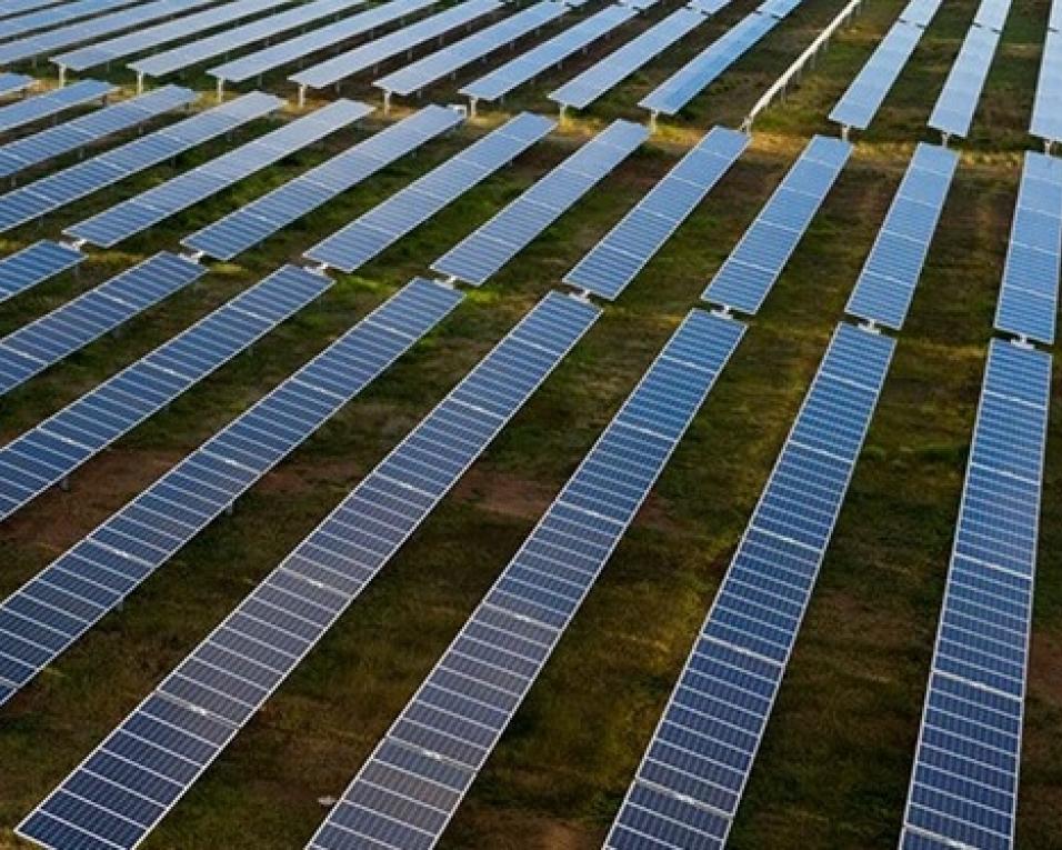 Quercus entende que Central Fotovoltaica do Cabeço Santo poderia ser menos invasiva.