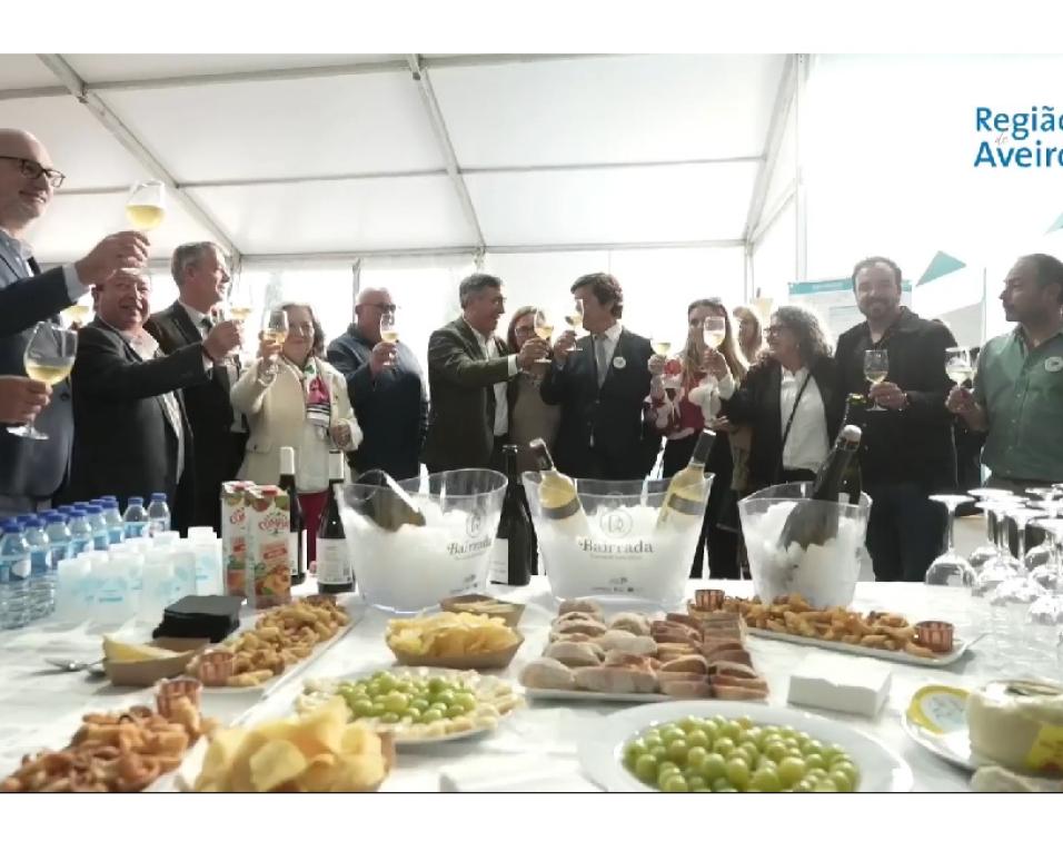 abertura da festa do choco em ilhavo