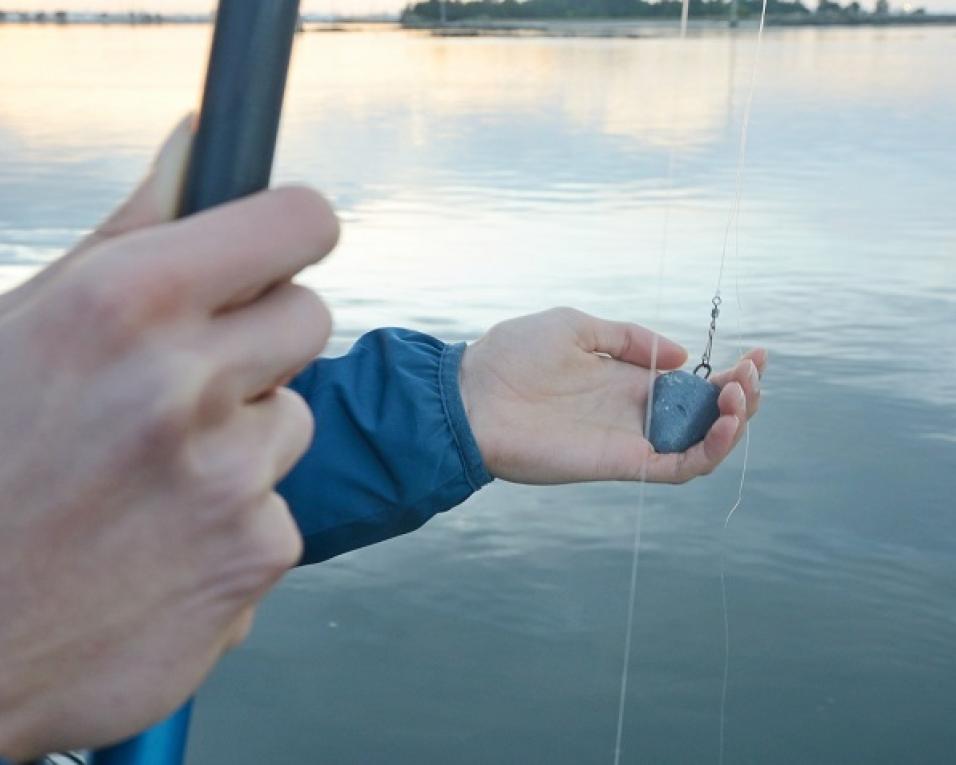 Aveiro: Estudo da UA mostra efeitos tóxicos das chumbeiras de pesca.