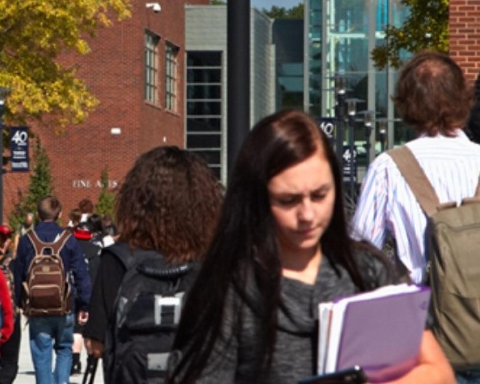 Estarreja: Alunos do secundário passam férias de Verão nas universidades.