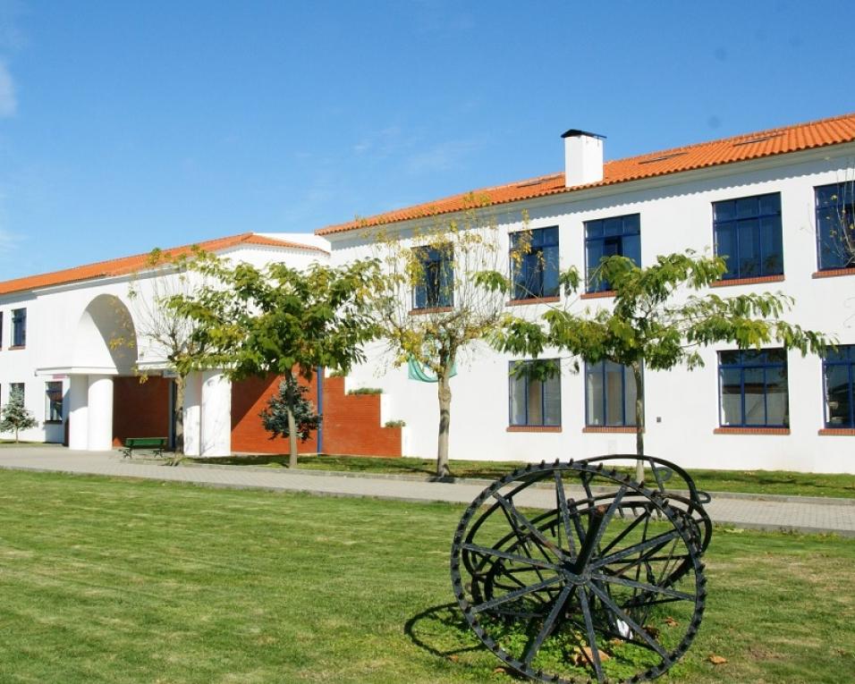 Aveiro: Livro “Educar para a Vida – Guia Ilustrado de Linguagem Parental” tem apresentação este sábado em Santa Joana.