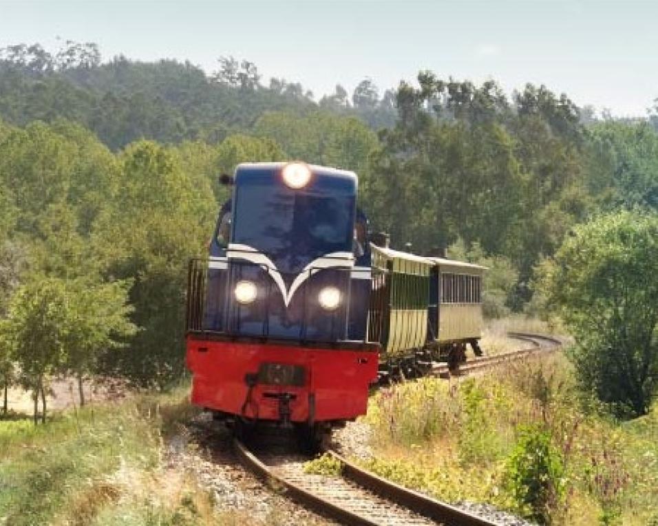 Comboio histórico regressa este sábado à linha do Vouga.