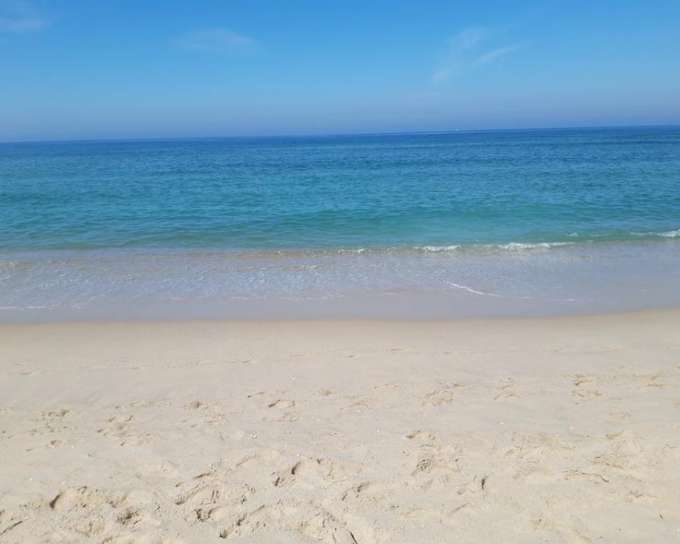 Gafanha da Encarnação: Pais recolhem lixo na praia da Costa Nova.