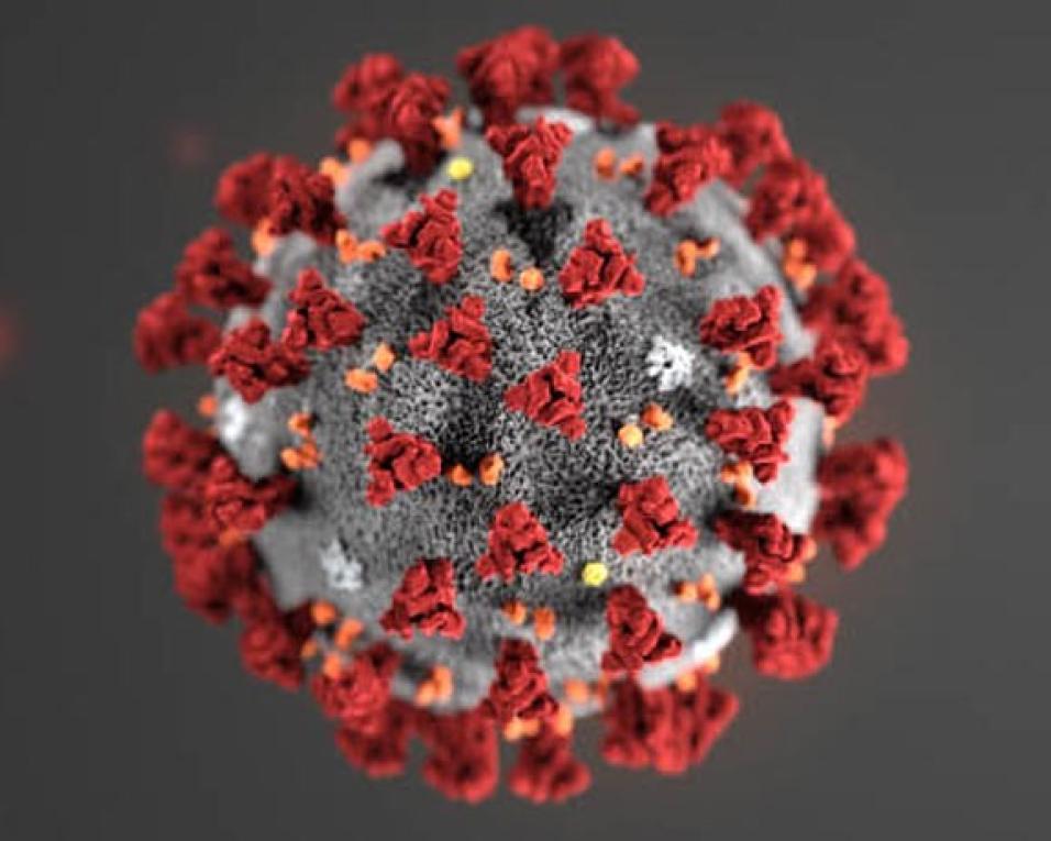 Aveiro: Primeiro caso de Covid 19 surge em Eixo.