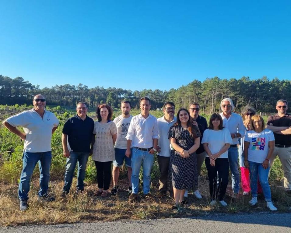 Ovar: Deputados do PS visitam zona de abate de árvores.