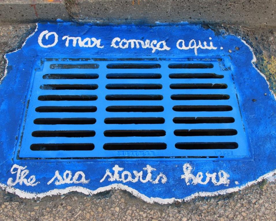 Alunos de escola da Costa Nova enviam recado ambiental a residentes e turistas.