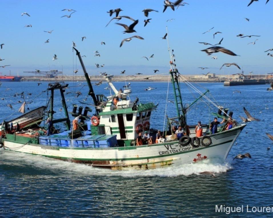 Traineira de Vila do Conde afundou-se mas pescadores foram resgatados.