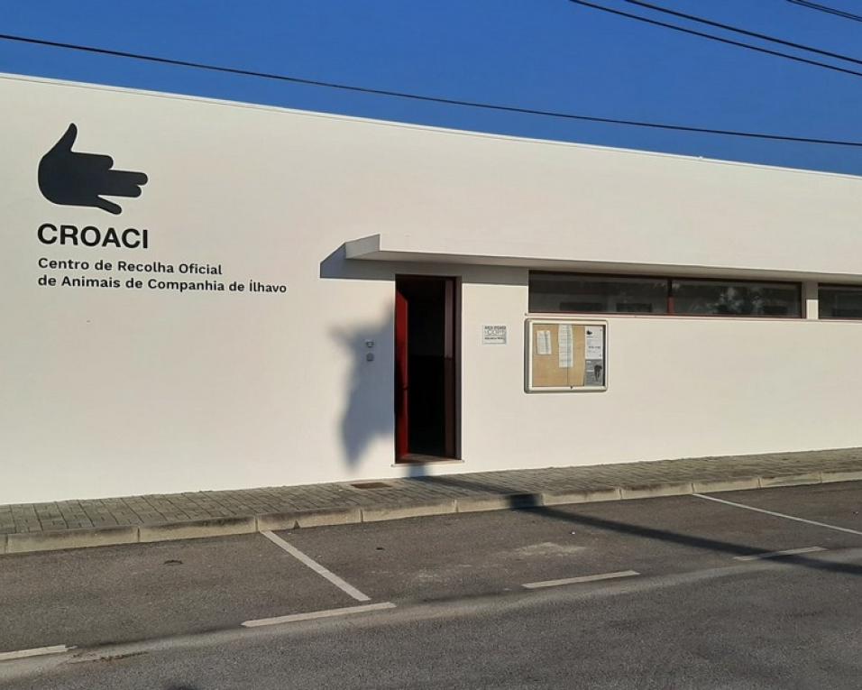 Centro de Recolha Oficial de Animais de Companhia de Ílhavo duplica capacidade para acolher animais.