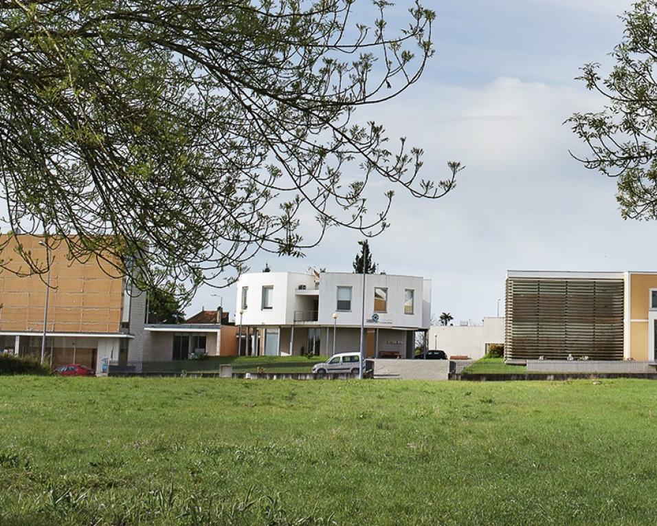 Curia tecnoparque acolhe sessão sobre apoios financeiros ao emprego.