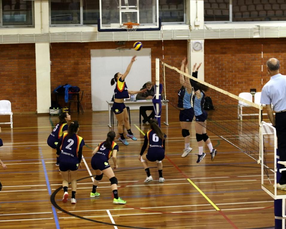 Aveiro: Clube de Voleibol venceu em jornada dupla.