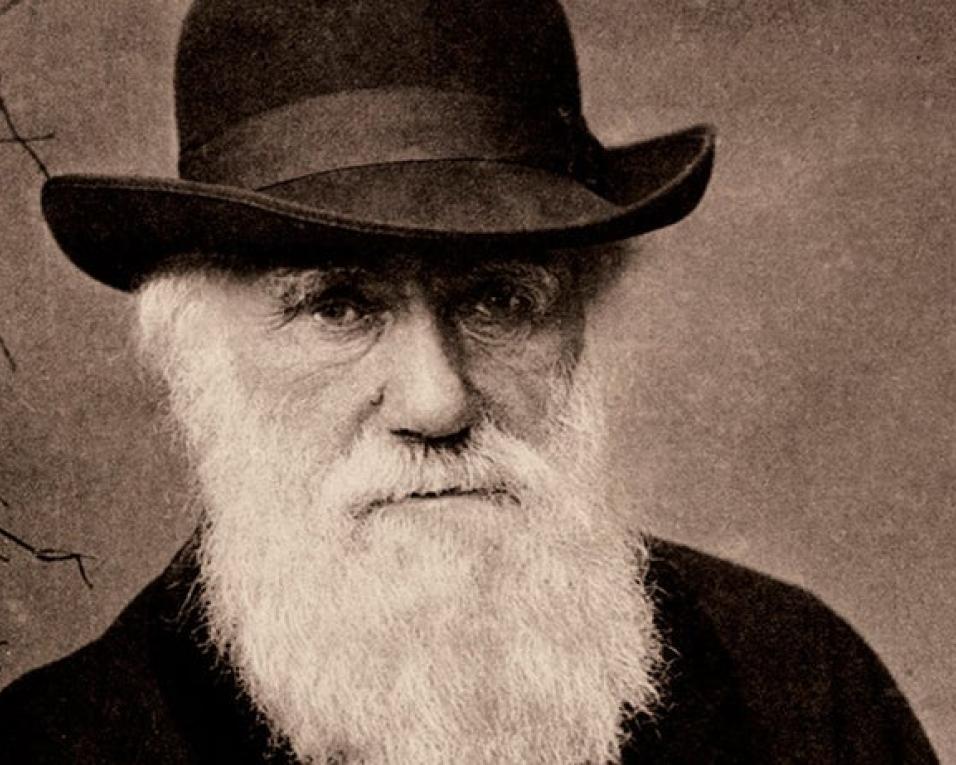 Fábrica Centro Ciência Viva dedica fim de semana a Charles Darwin.
