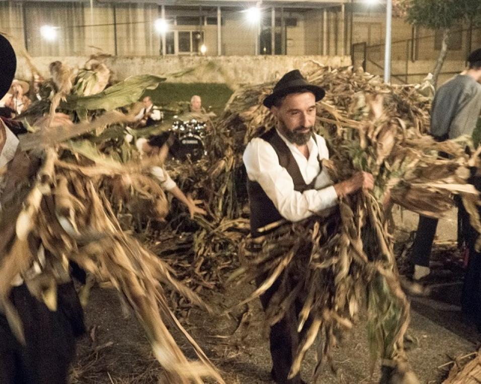 Desfolhada volta a ser celebrada na Mamarrosa.