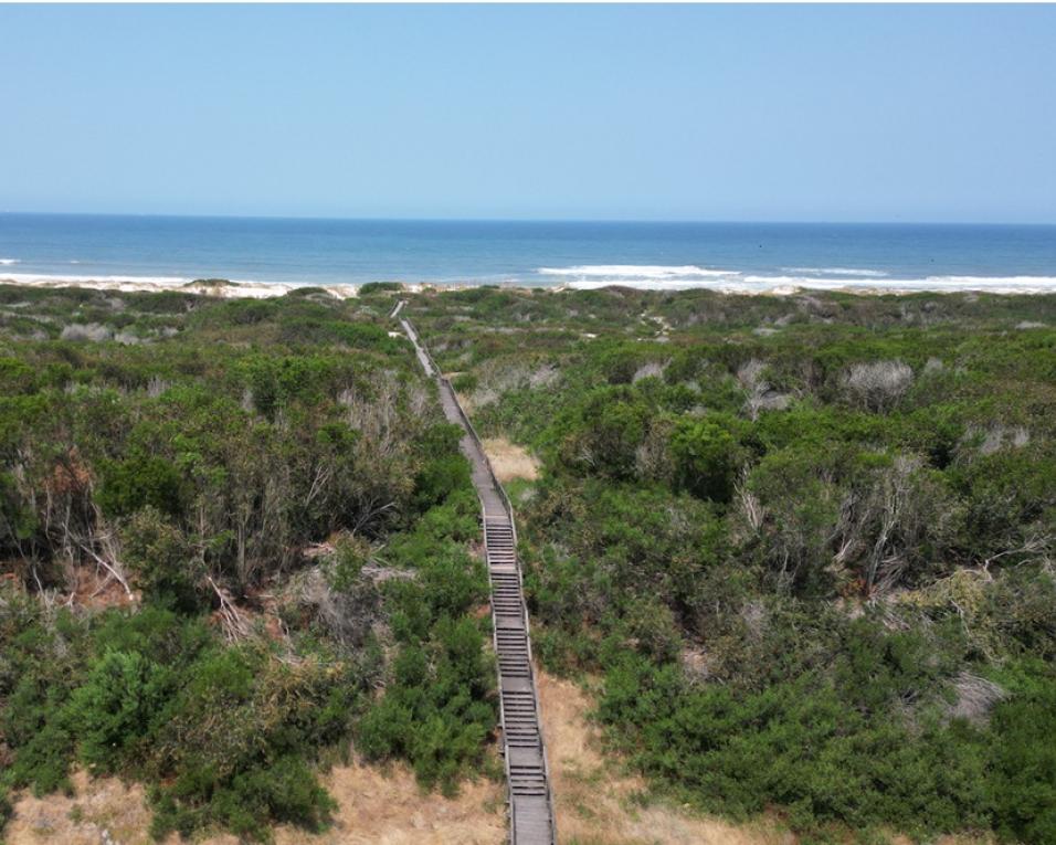  Parque Natural das Dunas de São Jacinto distinguido com Prémio Cinco Estrelas Regiões.