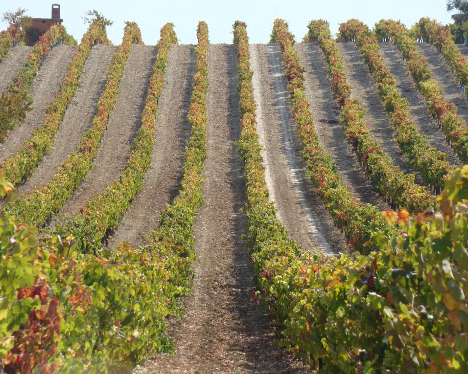 'Aqui na Bairrada 2019’ mostra de espumantes e vinhos no Pavilhão dos Desportos de Anadia.