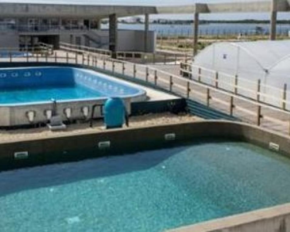 UA prepara programa para celebrar Dia dos Oceanos.