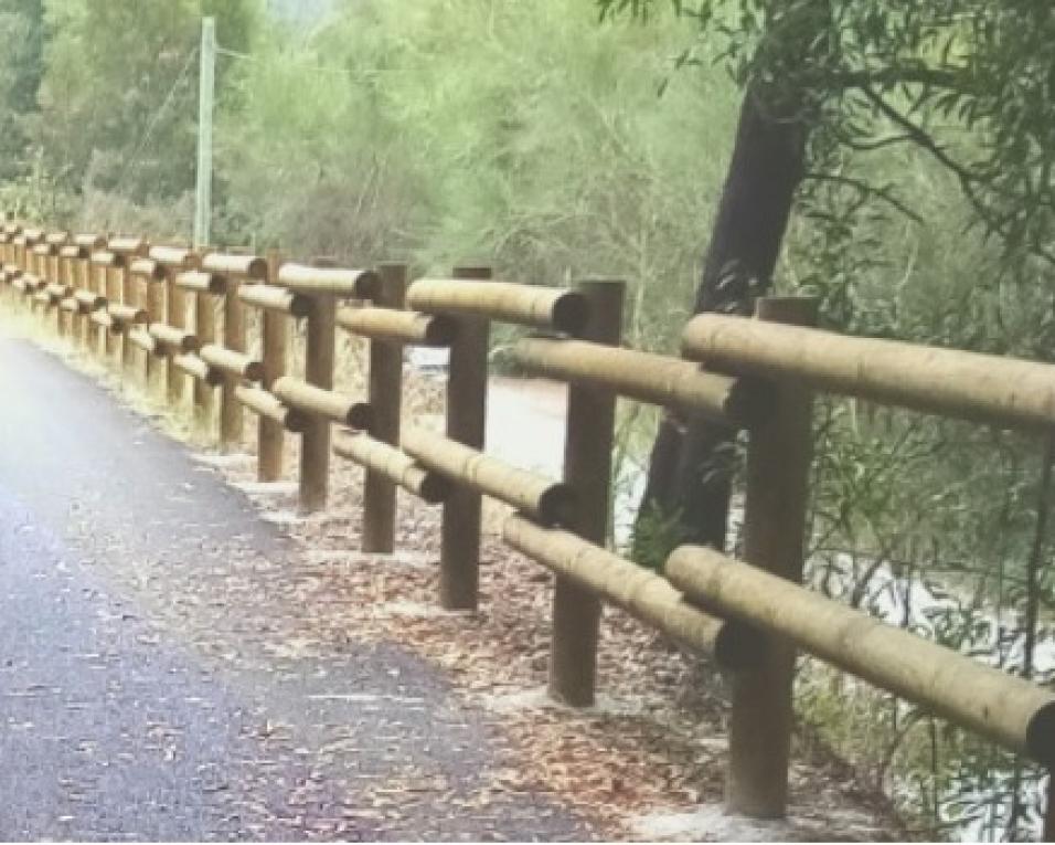 Inauguração da Ecopista do Vouga entre Águeda e Albergaria-a-Velha marcada para este sábado.