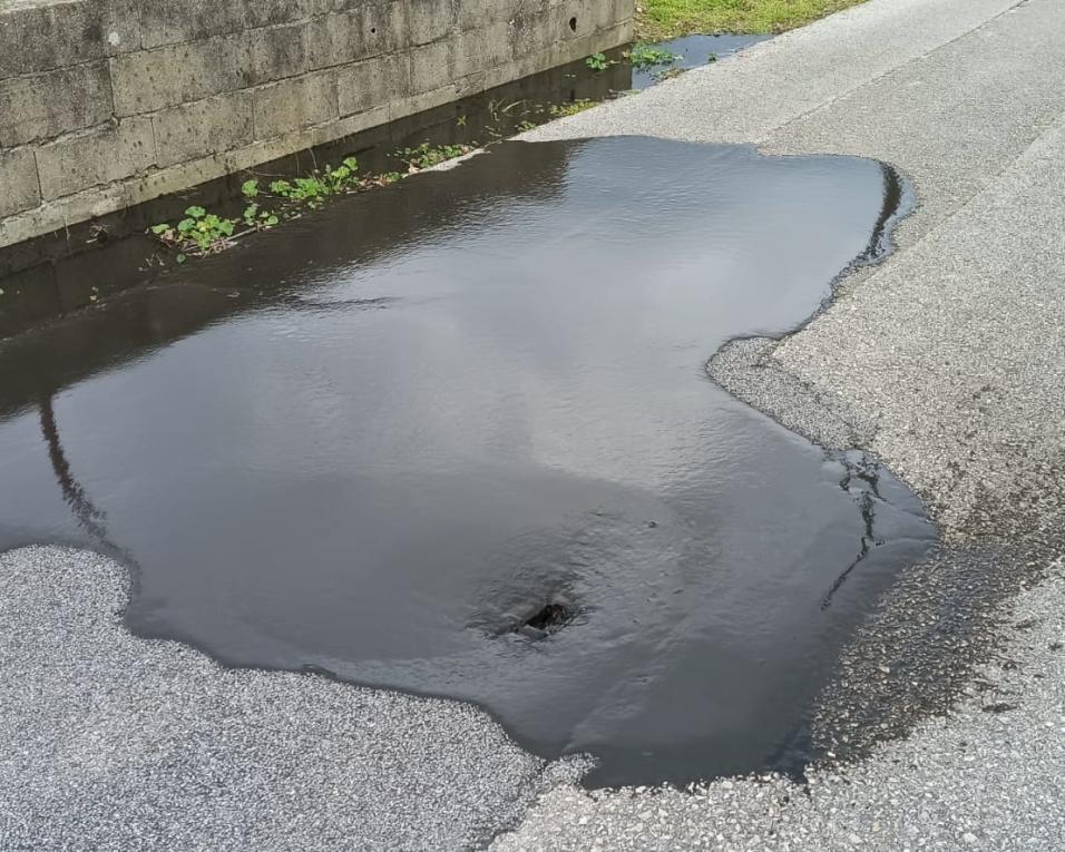 Aveiro: Quercus denuncia fuga de efluentes no lugar de Horta.