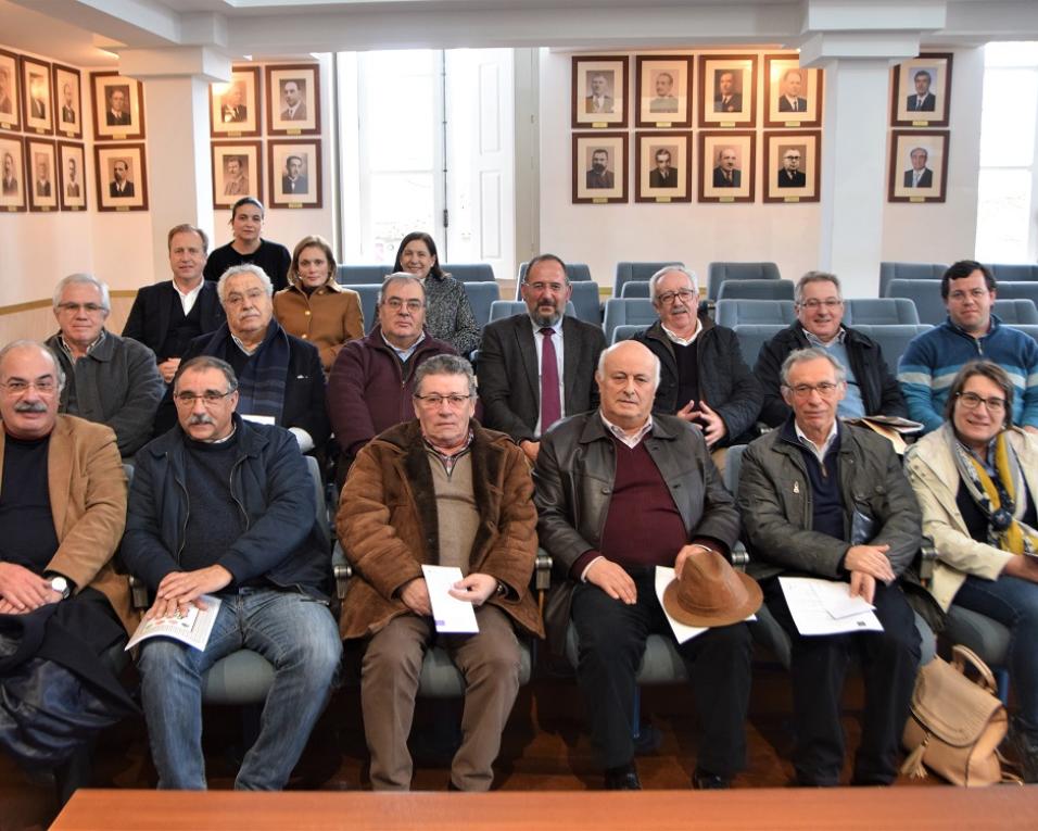 Albergaria entre 127 mil euros a 11 instituições de solidariedade social.
