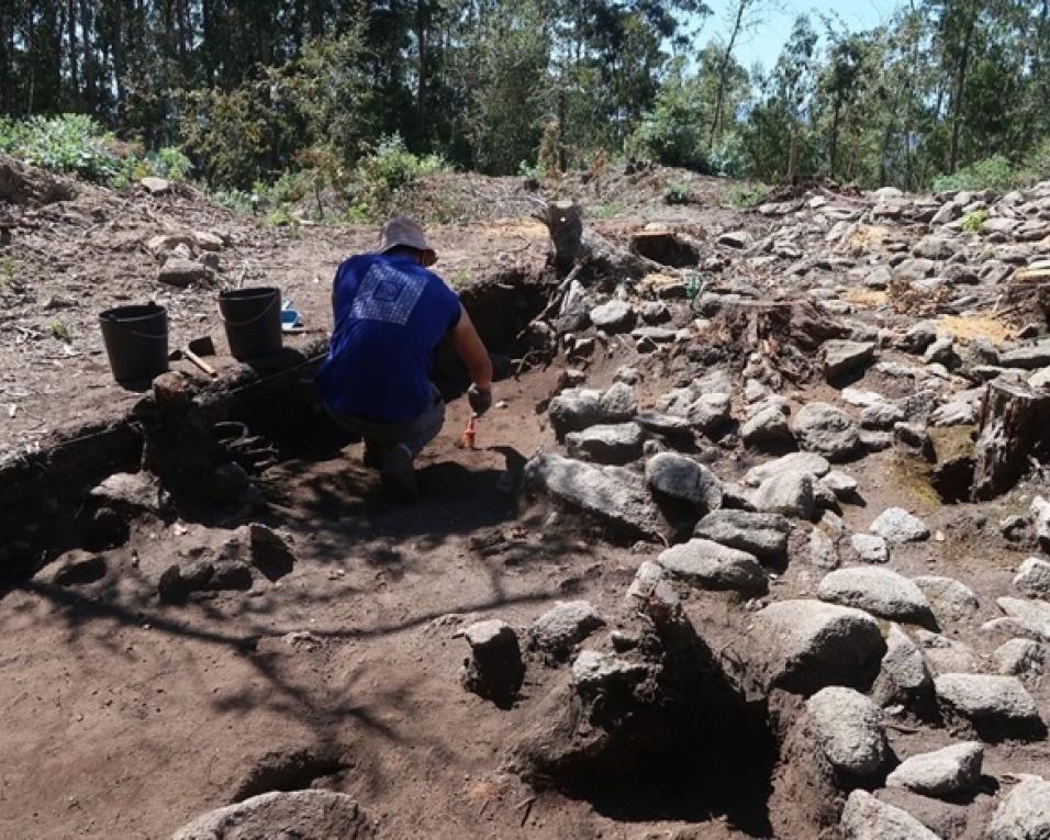 Albergaria-a-Velha: Município vai criar Centro Pedagógico no Monte de São Julião.