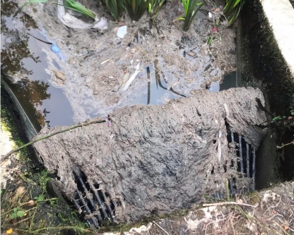 Aveiro: PS diz que esgotos continuam a chegar a valas hidráulicas perto do parque da Balsa.