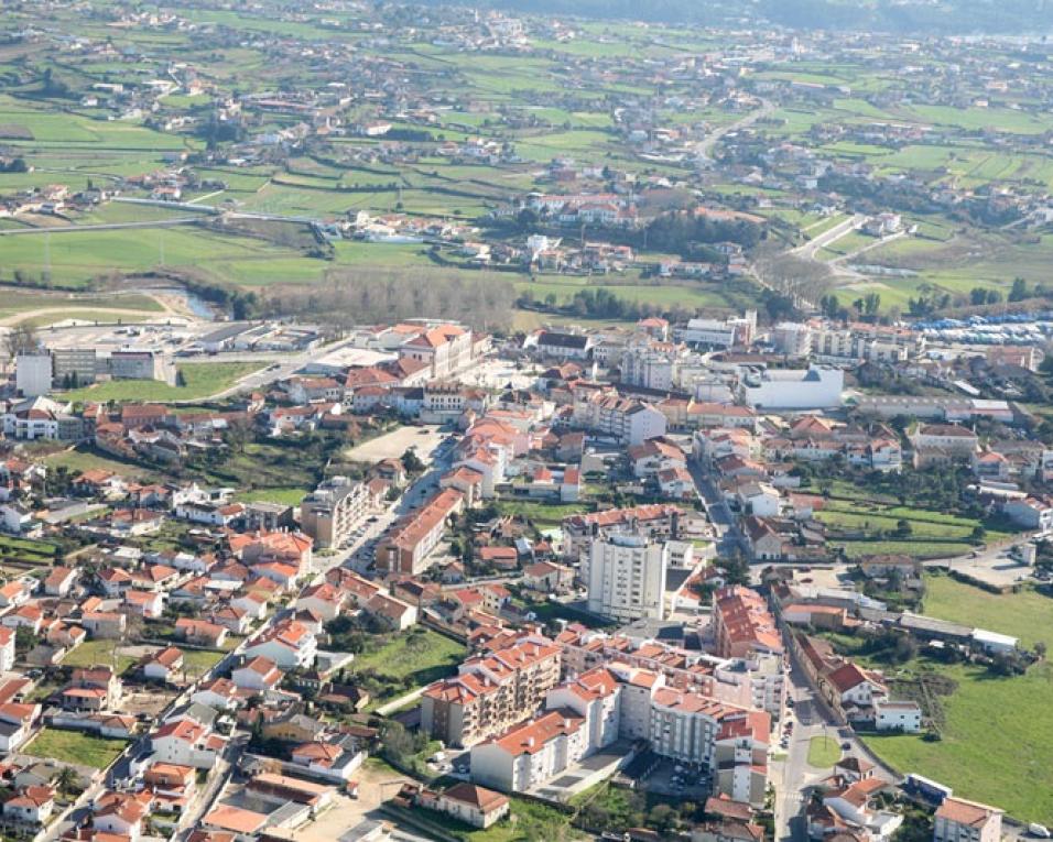 Estarreja inicia as festas em honra de Santo António.