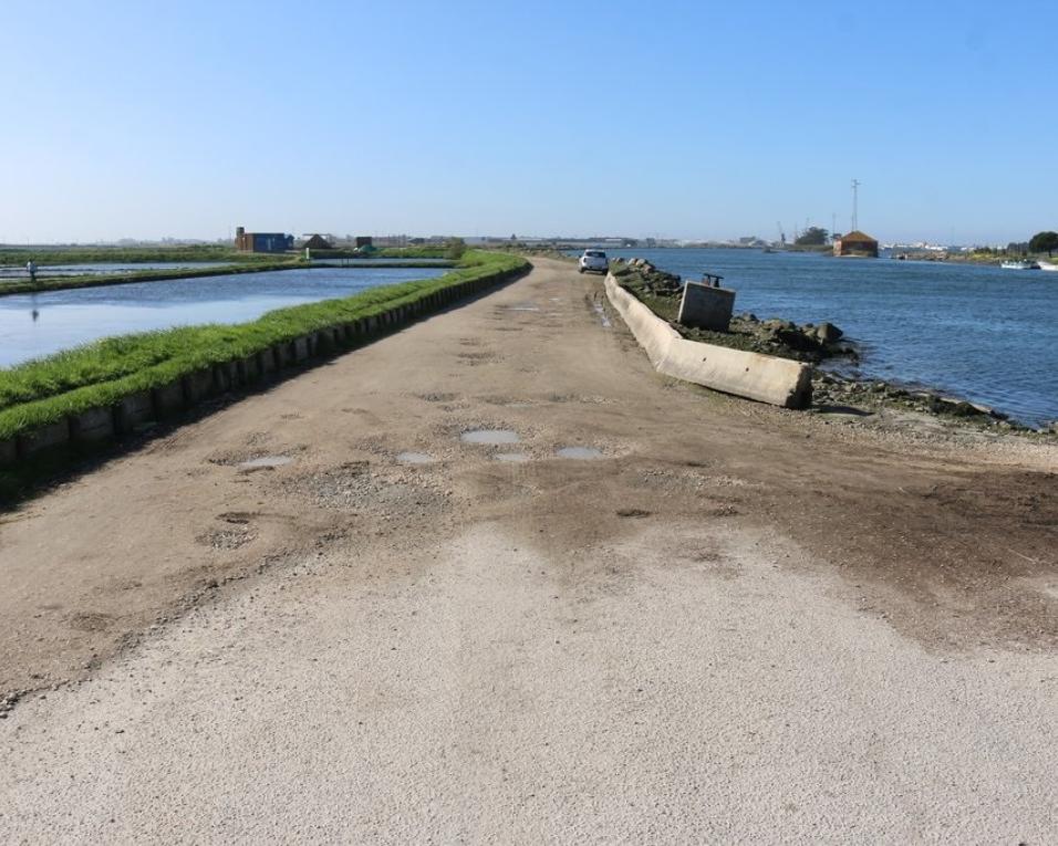Aveiro: Autarquia adjudica estrada-dique junto à Marinha da Troncalhada.
