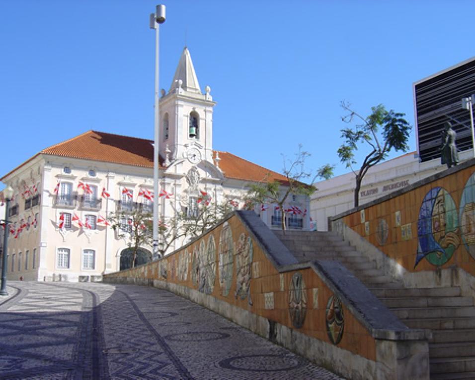 Aveiro: Autarquia abre concurso para refeições escolares.